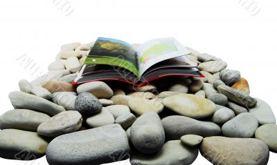 book open on a rock