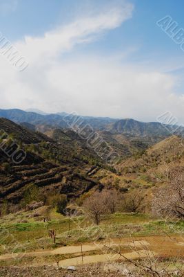 Spring in the Cypriot mountains