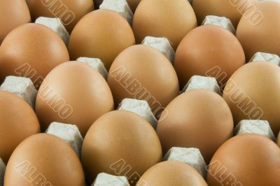 Many fresh rural eggs packed in cardboard container