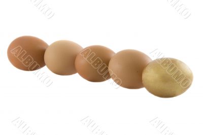 One golden and many ordinary fresh rural eggs isolated over whit