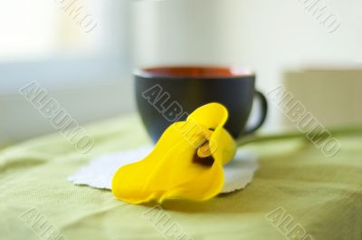 a cup of coffee and a calla