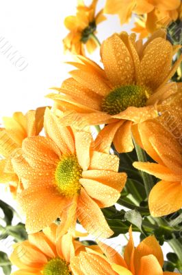 boquet of orange flowers