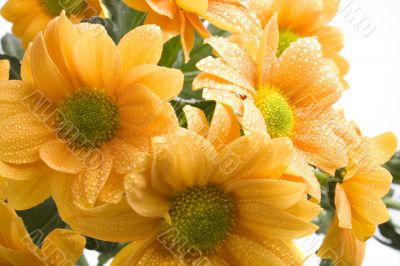 boquet