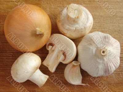 food ingredients