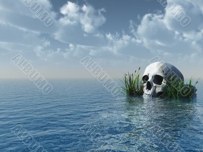 skull