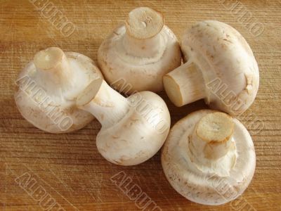 mushrooms