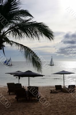 Beach on sunset