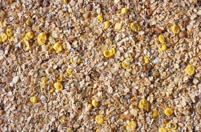 muesli