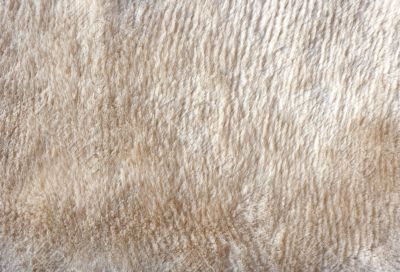 Woolen