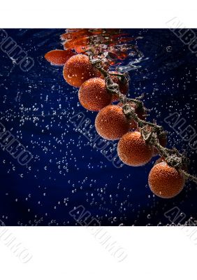 Fresh tomatoes immersed in blue water.