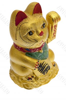 Lucky golden Cat