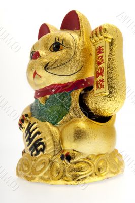 Lucky golden Cat