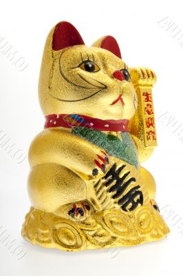 Lucky golden Cat