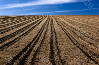 Ploughed field