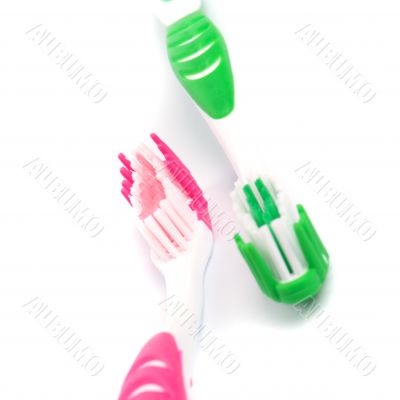 two toothbrushes