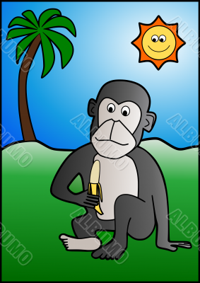 Monkey eating banana