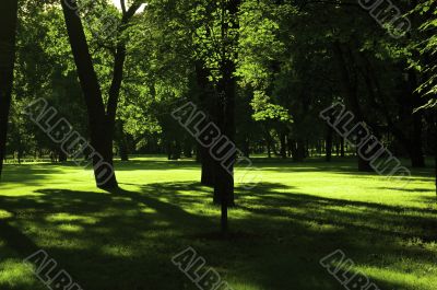 view of park at sunny day