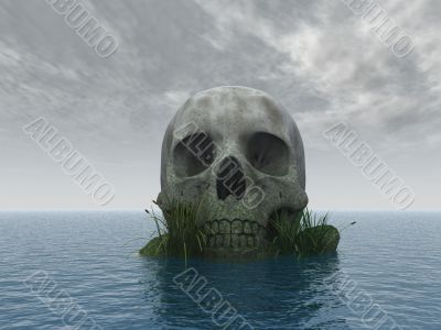 skull