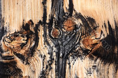 Natural Wooden  Background