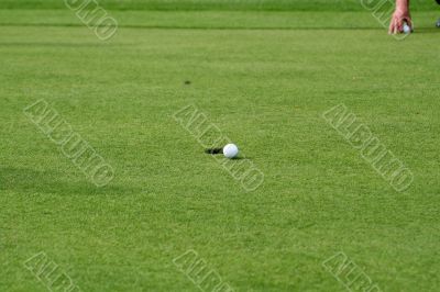 Golf Player