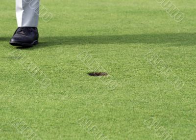 Golf Player on a Green