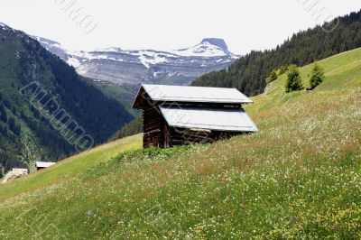 Wooden Hut in the Swiss Mountains