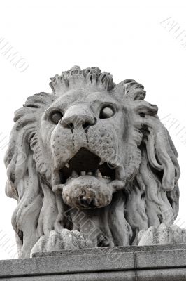Stone lion