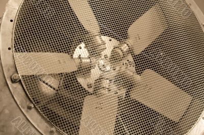 Fan