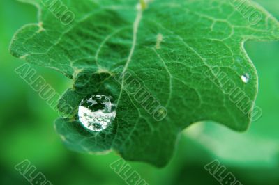 Raindrop