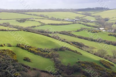 Countryside