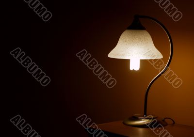 Light