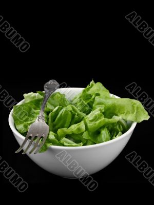Green salad on black