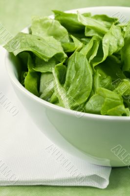 Macro green salad