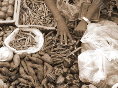 Selling Fresh Vegetable sepia