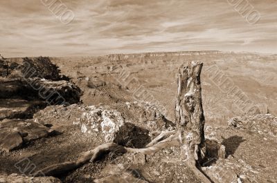 Grand Canyon View sepia