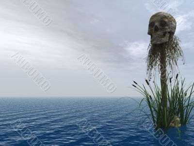 skull