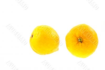two lemons