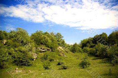 summer landscape
