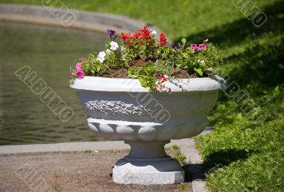 City flowers