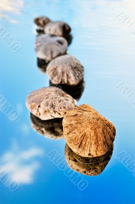 Reflection