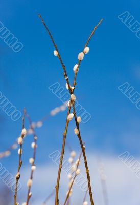 Spring geometry