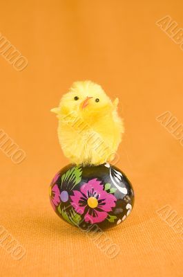 Chicken on easter egg