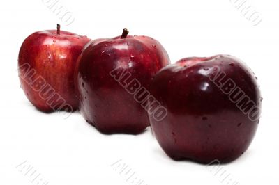 Three red apples, in droplet grow insulated