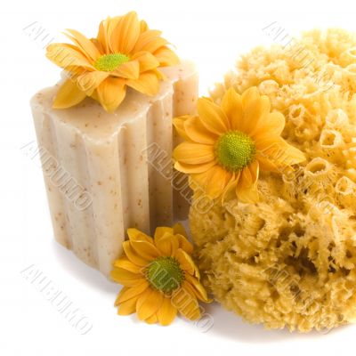 natural sponge, soap and flowers
