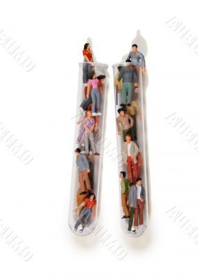 The mix of men and women