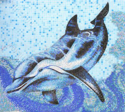 Dolphin