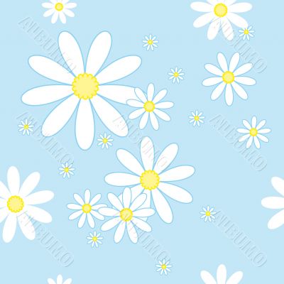 seamless pattern with camomiles