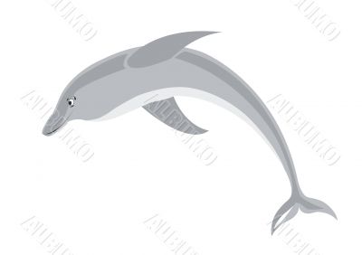 isolated illustration of smiling dolphin