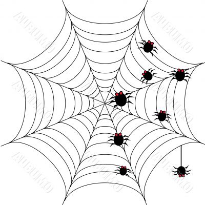 Halloween background with spider web 1