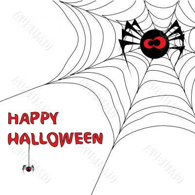 Halloween background with spider`s web 3.